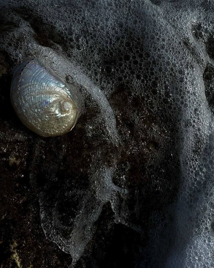 63faf678abd10caba50577f6a1a812cb