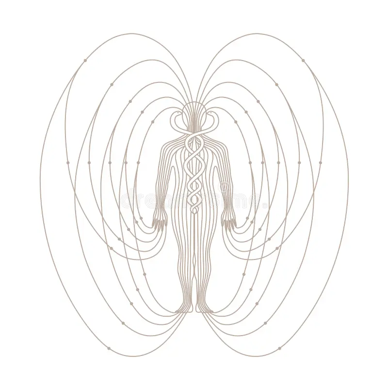 Illustration human body magnetic energy field snakes health brown grey colors 255281524